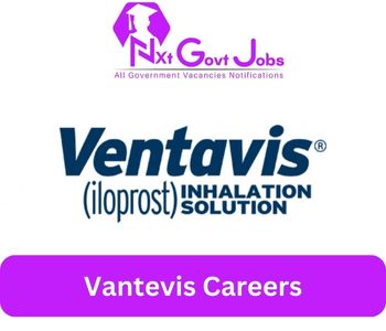 Vantevis Jobs 2023 Kuwait Career